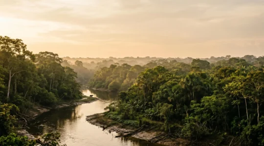 Scène paisible d'observation responsable de la faune amazonienne dans son habitat naturel préservé